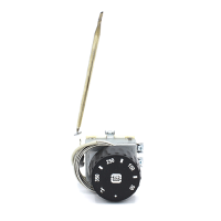 Термостат капілярний  двополюсний TC-1R21PM MMG-2/350°C 
